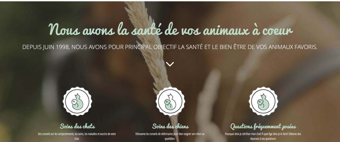 capture écran du site web de la clinique vétérinaire de beaumont